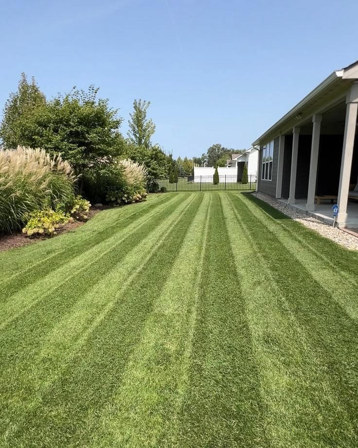 Landscaping service in Southwest Florida